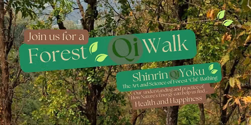 Shinrin Yoku - Forest Qi Bathing (Forest Walk)