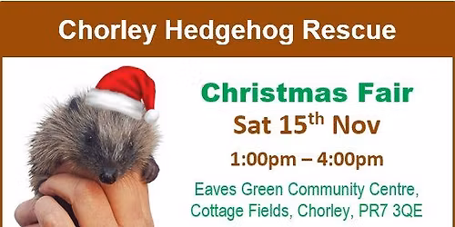 Chorley Hedgehog Rescue Christmas Fair