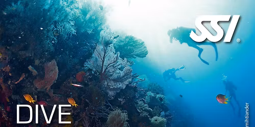 Dive Guide - Pool Training starting