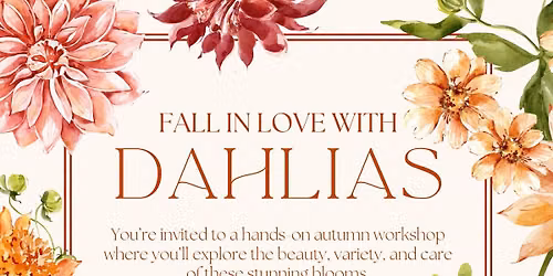 Fall in Love with Dahlias