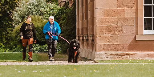 Introduction to Mantrailing