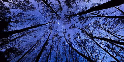 Puzzled Pint January