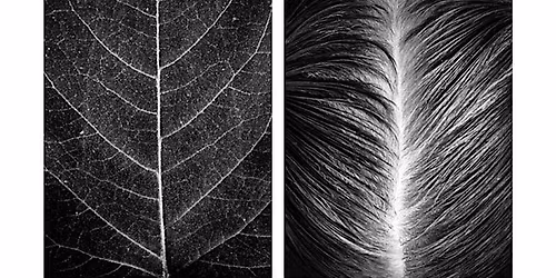 Scalp Care Masterclass