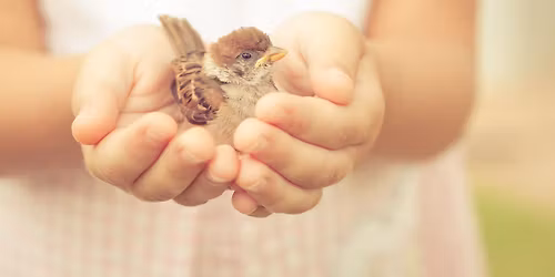 Softly Steady - One Day with Ann