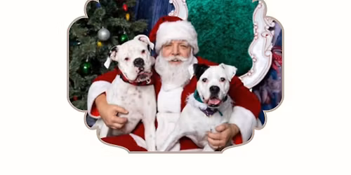 Santa Photos with NDLB!