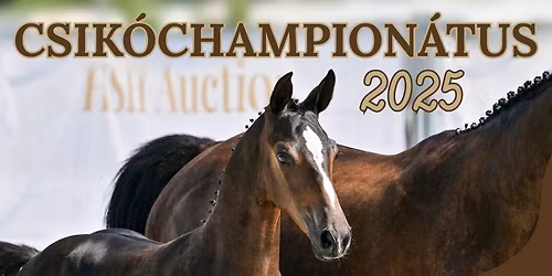 MSLT Csik\u00f3champion\u00e1tus 2025