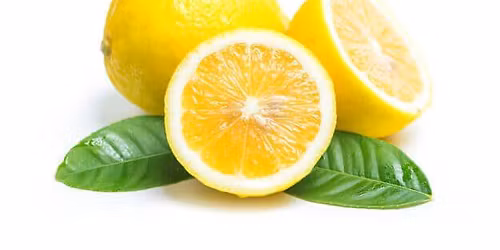 \u0645\u0648\u0633\u0645 \u0645\u0648\u0627\u0644\u062d