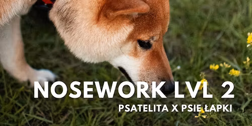 NOSEWORK LVL 2 | Gda\u0144sk | Maj 