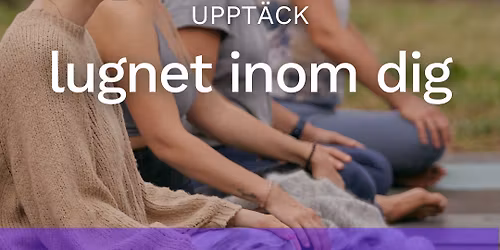 \ud83c\udf3f The Meditation Experience Masterclass