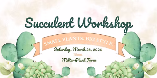 Succulent Workshop