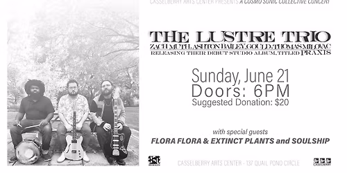 The Lustre Trio Concert