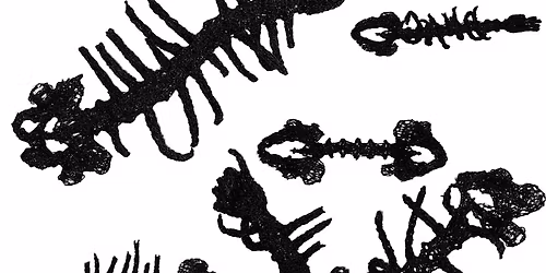 De Formar\u208b\u2082