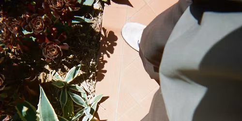 Nectax, The Shins, Sawteeth in \uc11c\uc6b8\ud2b9\ubcc4\uc2dc