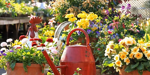 Spring Launch, come and see our new ranges for the Spring Season