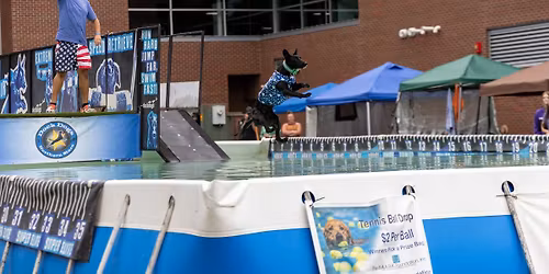 DockDogs\u00ae at the Brown County Free Fair