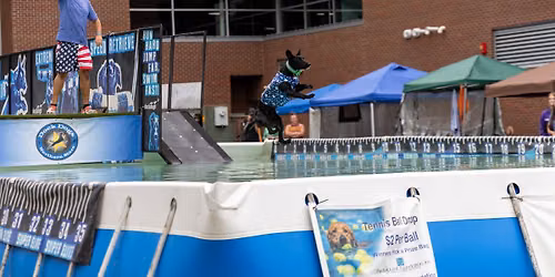 DockDogs\u00ae at the Brown County Free Fair