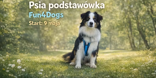 Psia podstaw\u00f3wka w Fun4Dogs 