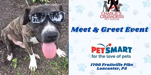 Meet & Greet Adoptable Dogs