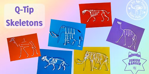 Q-Tip Skeletons