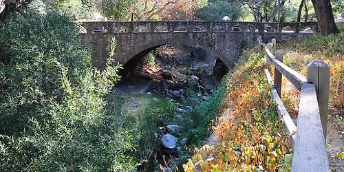 Single's Hike- Penitencia Creek and North Rim Loop