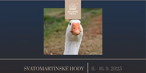 Svatomartinsk\u00e9 hus\u00ed hody