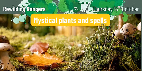 Rewilding Rangers: Mystical Plants and Spells