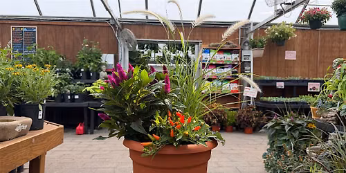 DIY Mixed Planter