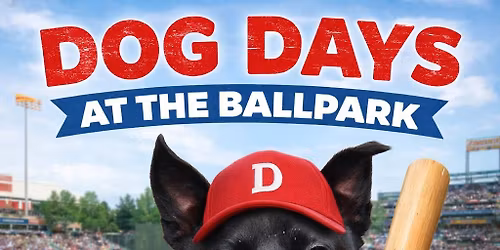 Dog Days at the Ballpark 