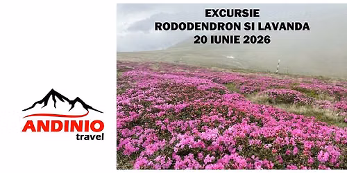 Excursie foto la rododendron \u0219i lavand\u0103 cu Andinio Travel