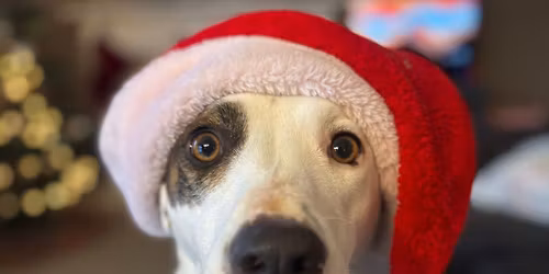 Christmas Open House 