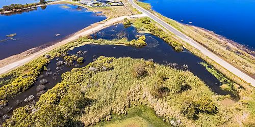 Zones humides : comprendre, prot\u00e9ger, agir