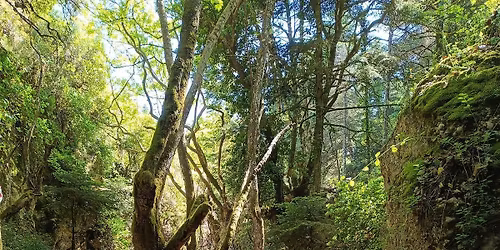 \ud83d\udca2 RIVER TREKKING \u039b\u0391\u0394\u039f\u03a0\u039f\u03a4\u0391\u039c\u039f\u03a3 & SWIMMING \u03a3\u03a4\u0397\u039d \u03a0\u0391\u03a1\u0391\u039b\u0399\u0391 \u03a0\u039f\u03a5\u039d\u03a4\u0391\u03a3 \ud83c\udfca