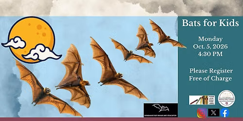 Live Bats for Kids