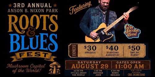 3rd Annual Roots and Blues Festival in Anson B. Nixon Park