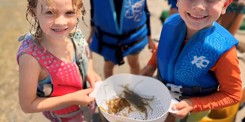 Guppies Multi Day Camps: Sharkology (Ages 5-7)