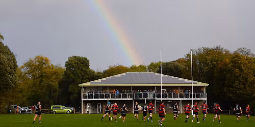Chichester 1st XV v Bognor