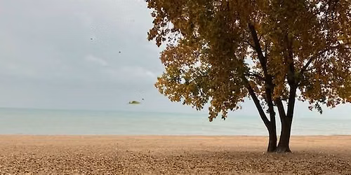Fall Mindfulness in Nature