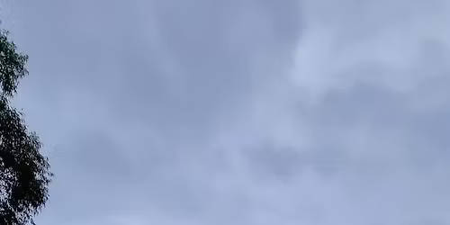 Suzuki 4x4 Muster 2026