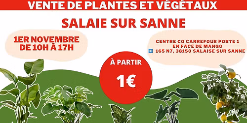 SALAISE SUR SANNE - V\u00e9g\u00e9taux et Plantes \u00e0 partir de 1\u20ac by Plantes Addict