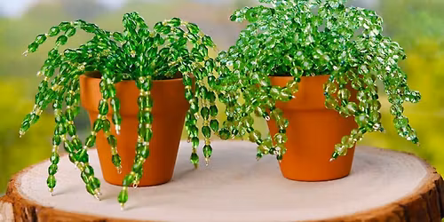 Sip and Craft: Beaded Plants at the Botanical Gardens