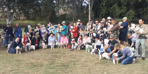  End of Year Westie Waggle