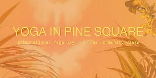 YOGA IN PINE SQUARE ||| Free Class with Annelise | Roya | Erin