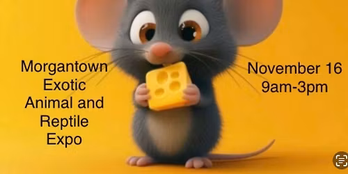 Morgantown expo