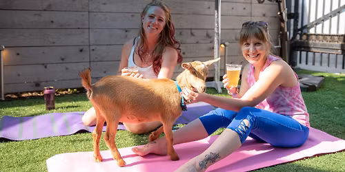 \ud83c\udf7a\ud83d\udc10 Baby Goat Yoga in the Beer Garden @ Central Waters Brewing Company