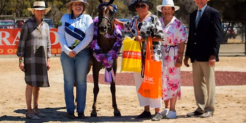 2027 Bendigo Equine Expo (BEE)