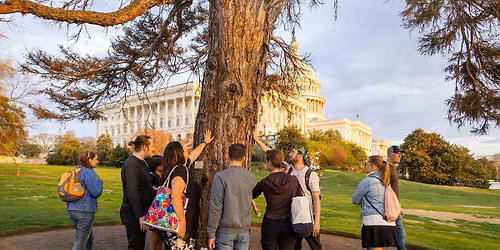 Capitol Hill Tree Tours