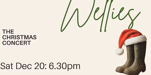 The Dirty Wellies at Franklins