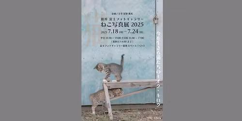 \u9280\u5ea7 \u5bcc\u58eb\u30d5\u30a9\u30c8\u30ae\u30e3\u30e9\u30ea\u30fc\u306d\u3053\u5199\u771f\u5c552026