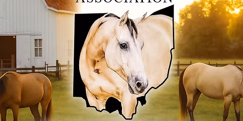 Buckskin Memorial Classic