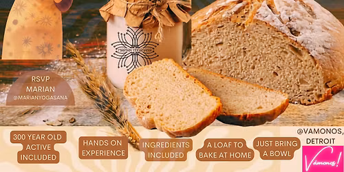 Bake your first Sourdough from scratch